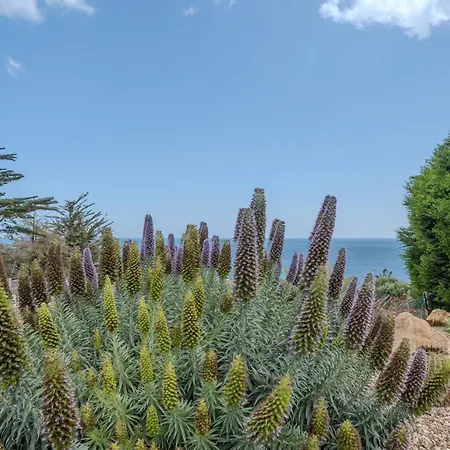 Ocean View With Private Terrace Praia Da Luz