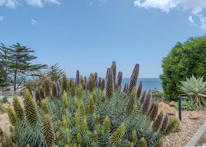 Ocean View With Private Terrace Luz