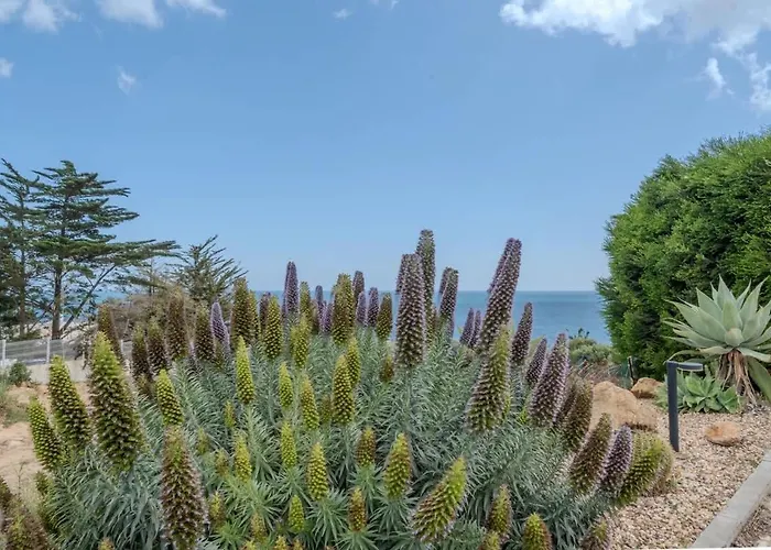 Ocean View With Private Terrace 펜션 Senhora da Luz